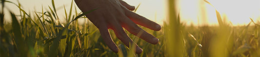 CBD Gesundheitliche Vorteile