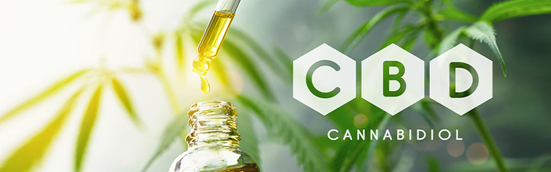 CBD Öl Wirkung – Wirkung von CBD Öl im Detail