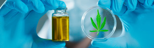 Die verschiedenen Formen der CBD Öl Anwendung – ein Leitfaden für Einsteiger