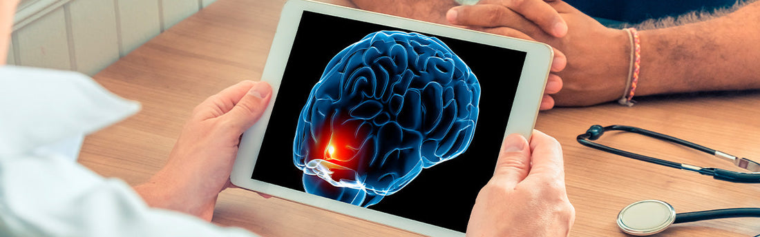 Wie Löwenmähne die Heilung von Gehirnverletzungen unterstützen kann