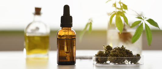 CBD-Öl Erfahrungen
