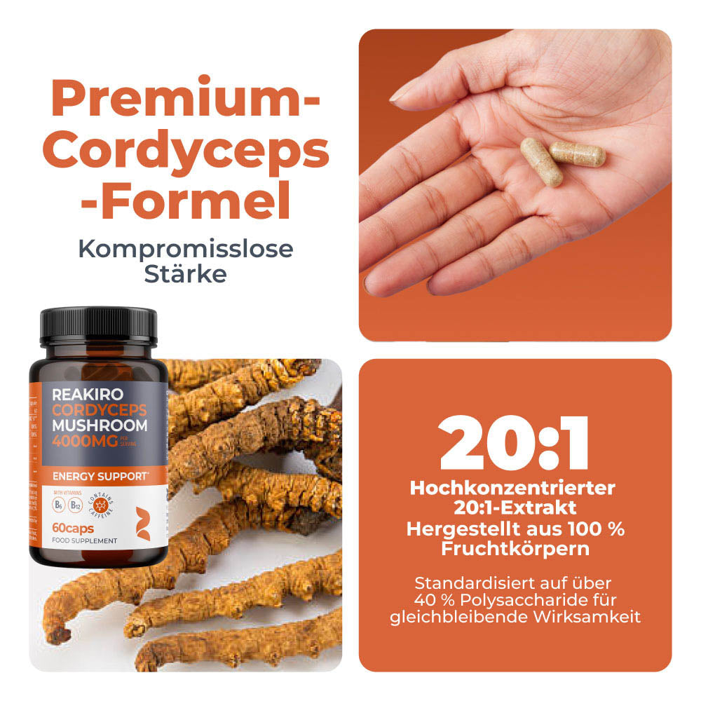 Cordyceps-Pilz 4000 mg 60 Kapseln