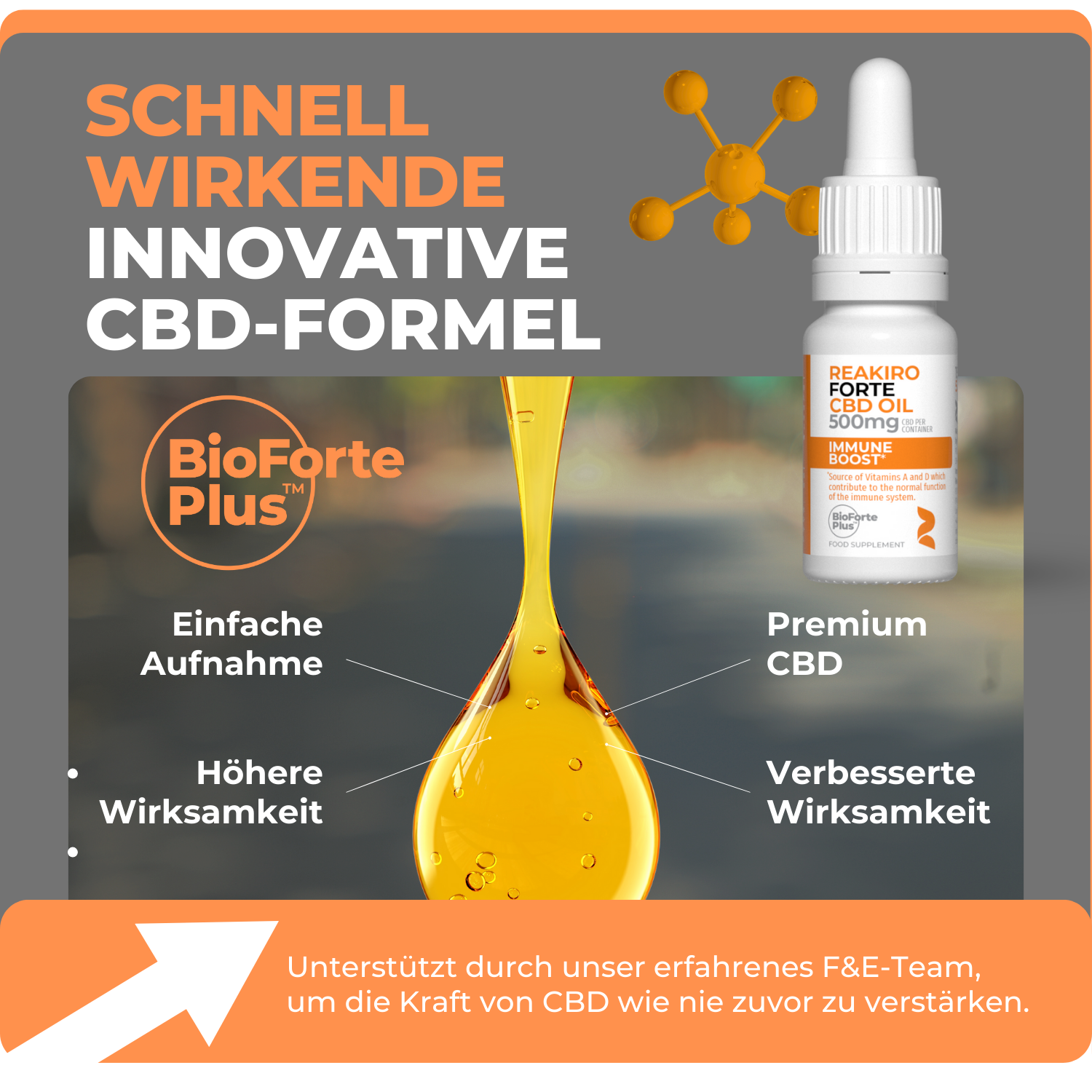 Forte CBD Immunverstärker 500 mg 15 ml