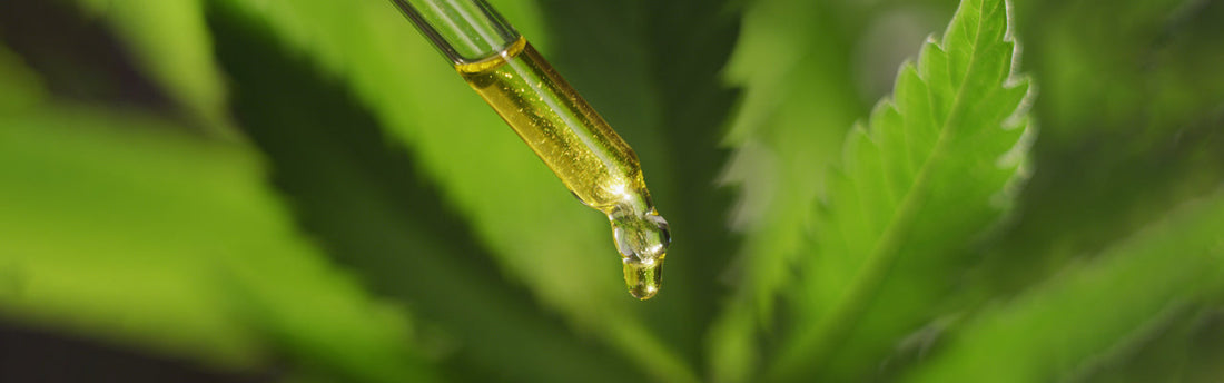Legenden und Mythen über CBD in Deutschland: Fakt und Fiktion