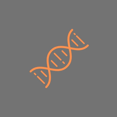 Zellgesundheit Immununterstützungsöl