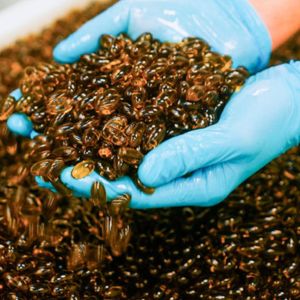 Hochste-Qualitat-_Der-du-Vertrauen-Kannststrong