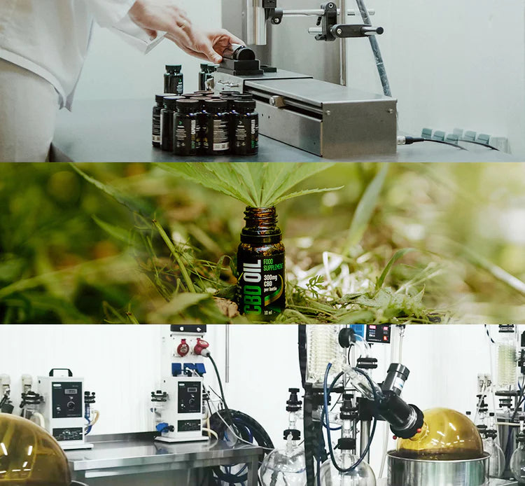 Reakiro – der Goldstandard der CBD-Produkte